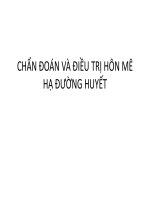 Bài giảng chẩn đoán và điều trị hôn mê hạ đường huyết - Trường Đại học Công nghiệp Thực phẩm Tp. Hồ Chí Minh