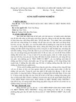 Báo cáo Sáng kiến kinh nghiệm Các biện pháp giáo dục học sinh cá biệt trong nhà trường