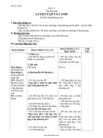 Giáo án môn Tập làm văn lớp 5 - Tiết 15: Luyện tập tả cảnh (cảnh ở địa phương em)