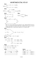 Giáo án Hóa học 9 - Sơ đồ phản ứng vô cơ