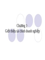 Bài giảng Tài chính doanh nghiệp theo ross: Chương 1 - Trường Đại Học Quốc Tế Hồng Bàng