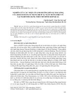 Nghiên cứu các nhân tố ảnh hưởng đến sự hài lòng của khách hàng sử dụng dịch vụ ngân hàng điện tử tại Maritime Bank theo mô hình SERVQUAL - Trường Đại Học Quốc Tế Hồng Bàng