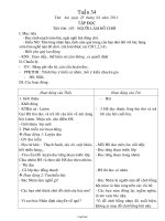 Giáo án giảng dạy lớp 2 - Tuần 34 năm 2011