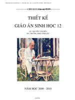 Giáo án môn Hóa hoc lớp 9 năm 2009 - Tiết 20: Kiểm tra một tiết