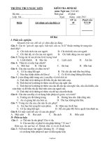 Kiểm tra định kì môn: Ngữ văn 8 ( tiết 60)