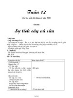 Bài soạn các môn học lớp 2 - Tuần 12 năm 2008