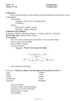 Giáo án phụ đạo môn Tiếng Anh 11 - Tuần 29