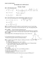 Giáo án Sinh học 10 - Tiết 6, Bài 7: Tế bào nhân sơ - Trần Thị Hồng Sen