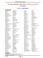 Từ vựng, ngữ pháp tiếng Anh 11 (Chương trình chuẩn) (Cả năm)