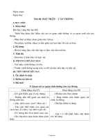 Giáo án môn Sinh học lớp 6 năm 2009 - Tiết 48: Hạt trần – Cây thông