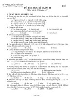 Đề thi học kì I lớp 11 môn: Vật lý - Thời gian: 45 phút - Đề 1