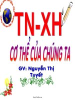 Giáo Án Tự Nhiên Xã Hội Lớp 1: Cơ Thể Của Chúng Ta _ Nguyễn Thị Tuyết