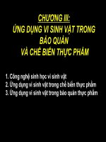 Bài giảng Chương 3 - Ứng dụng vi sinh vật trong bảo quản và chế biến thực phẩm - Trường Đại Học Quốc Tế Hồng Bàng