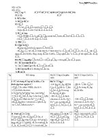 Giáo án Hóa học 12 - Chương 7: Sắt và một số kim loại quan trọng