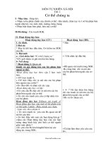 Giáo án Tự nhiên xã hội 1