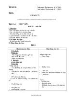 Bài ôn tập Tiếng Anh khối 11 - Unit 11: Books