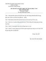 Đề thi và đáp án đề thi cuối học kì 2 năm học 2012-2013 môn Thiết kế trang phục nam - Trường Đại Học Quốc Tế Hồng Bàng