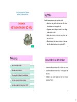 Bài giảng Kế toán tài chính 1: Chương 6 - Nguyễn Hoàng Phi Nam - Trường Đại Học Quốc Tế Hồng Bàng