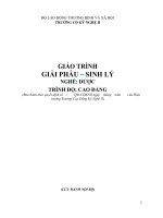 Giáo trình Giải phẫu – sinh lý - Nghề: Dược (Trình độ Cao đẳng): Phần 1 - Trường Đại học Công nghiệp Thực phẩm Tp. Hồ Chí Minh