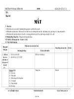 Giáo án giảng dạy bộ môn Vật lý 11 - Trường THPT Mạc Đĩnh Chi - Bài 08: Mắt