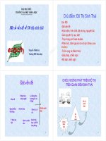 Bài giảng Một số vấn đề về đô thị sinh thái - Nguyễn Minh Kỳ - Trường Đại Học Quốc Tế Hồng Bàng