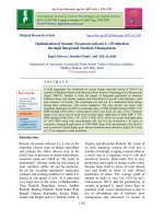 Optimisation of sesame (Sesamum indicum L.) production through integrated nutrient management - TRƯỜNG CÁN BỘ QUẢN LÝ GIÁO DỤC THÀNH PHỐ HỒ CHÍ MINH