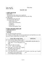 Giáo án Vật lí khối 7 tiết 11: Nguồn âm