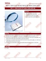 Bài giảng Kiểm toán nội bộ - Bài 1: Tổng quan về kiểm toán nội bộ - Trường Đại học Công nghiệp Thực phẩm Tp. Hồ Chí Minh