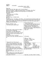 xep non tu tien 16 sưu tầm nguyễn vũ điền thư viện tư liệu giáo dục