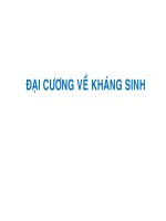 Bài giảng Hóa dược: Đại cương về kháng sinh - Trường Đại Học Quốc Tế Hồng Bàng