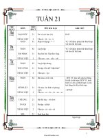 Giáo án Tổng hợp môn lớp 1 - Tuần dạy số 21