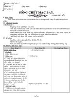 Giáo án môn học Ngữ văn 7 - Tuần 29