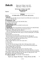 Bài soạn các môn lớp 2 - Tuần 20 năm 2010 (chuẩn kiến thức)