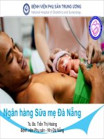 Ngân hàng sữa mẹ đà nẵng_Tiếng Việt