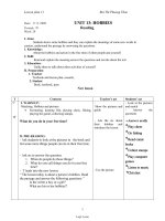 Thiết kế bài dạy môn Tiếng Anh 11 năm 2009 - Unit 13: Hobbies - Periods: 79 đến periods: 83