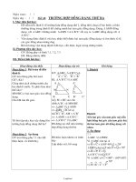 Thiết kế giáo án Hình học 8 - Tiết 46: Trường hợp đồng dạng thứ ba