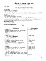 Kế hoạch giảng dạy khối lớp 2 - Tuần 20 năm 2009 - 2010