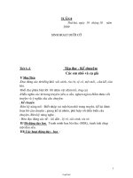 Bài soạn các môn học khối 2 - Tuần 8 đến tuần 10