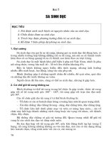 Giáo trình Chăm sóc sức khỏe phụ nữ: Phần 2 - Trường Đại Học Quốc Tế Hồng Bàng