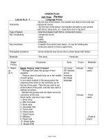 Bài soạn môn học Tiếng Anh khối lớp 11 - Unit three parties - Lesson No 6 - 7 language focus