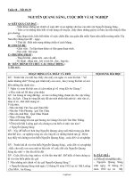 Giáo án Ngữ văn 8 tiết 69, 70: Nguyễn Quang Sáng, cuộc đời và sự nghiệp