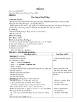 Quá trình sinh sản của Muỗi