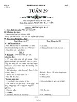 Giáo án các môn học khối 2, học kì II - Tuần 29