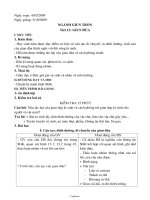 Giáo án môn Sinh học lớp 7 năm 2009 - Tiết 13: Giun đũa