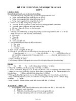 Đề thi cuối năm - Năm học 2010 - 2011 lớp 4