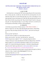 Chuyên đề hướng dẫn học sinh học tốt hơn phần mệnh đề quan hệ trong Tiếng Anh