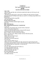 Giáo án dạy học các môn khối lớp 5 - Tuần 19