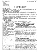 Bài soạn Ngữ văn 11 tiết 67: Ôn tập tiếng việt