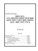 Kinh nghiệm dạy học tích hợp theo hướng liên môn