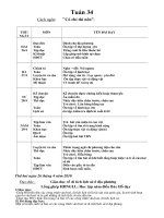 Bài 27 - Bướm ngụy trang